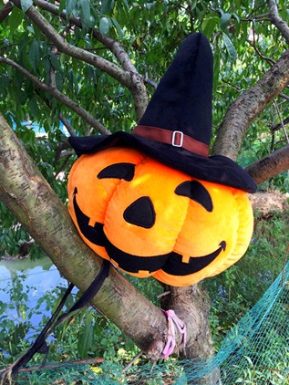 万圣节:不给糖就捣蛋?旭飞留学专家坐镇,发“糖”啦!