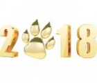 活动资讯网新年红包预告 19点发放1088个微信红包