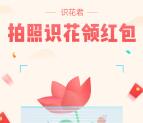 识花君拍照获得3个点赞可领取0.4-20元微信红包奖励