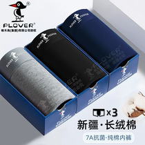 啄木鸟纯棉内裤3条+六神生姜洗发水+哪吒之魔童闹海Q玩捏捏乐