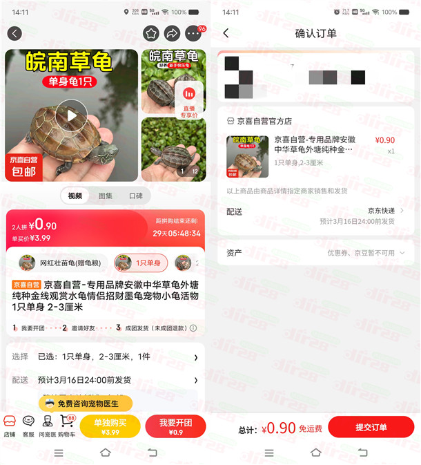 京东拼团活动0.9元撸1只中华草龟包邮 喜欢小乌龟的可以去